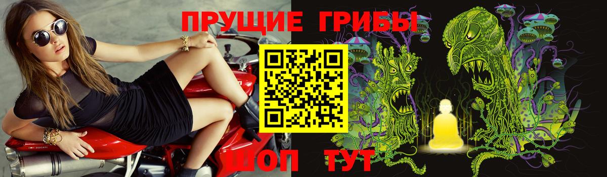 Галлюциногенные грибы мухоморы  Вход с VPN  купить  цена  Коммунар  Галлюциногенные грибы MAGIC MUSHROOMS 